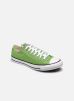 Chuck Taylor All Star 50/50 Recycled Cotton Ox M par Converse 42 1/2 male