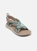 Columbia Sandales et nu-pieds Sandal W pour Femme Female 36 1889551258