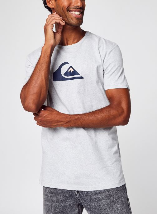 Vêtements Quiksilver Complogoss M Tees pour  Accessoires