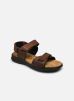 Hapsford Creek par Clarks 40 male