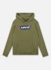 v&#234;tements levi&#39;s e910 - batwing pullover hoodie pour  accessoires
