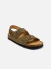 sandales et nu-pieds scholl henri collection pour  homme
