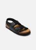 sandales et nu-pieds scholl henri collection pour  homme