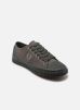 Fred Perry Baskets HUGHES LOW CANVAS pour Homme Male 40 FPB4365V64