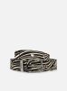 Levi's Ceintures WOMEN'S FABRIC GROMMET BELT pour Accessoires Female L - XL 234819-84-63