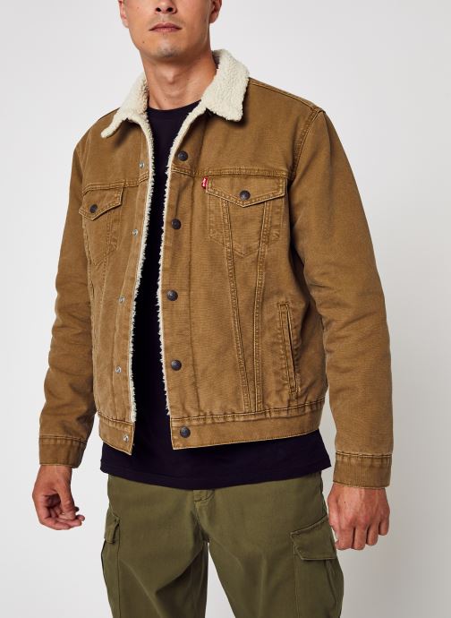 Vêtements Levi's TYPE 3 SHERPA TRUCKER pour  Accessoires