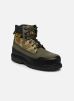 Caterpillar Bottines et boots UTHA pour Homme Male 42 918930-60-8