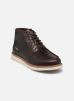 Timberland Bottines et boots Newmarket II Boat Chukka pour Homme Male 43 TB0A6AZEEM41