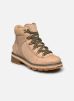 Sorel Bottines et boots Lennox Hiker Stkd Wp pour Femme Female 39 2009291262