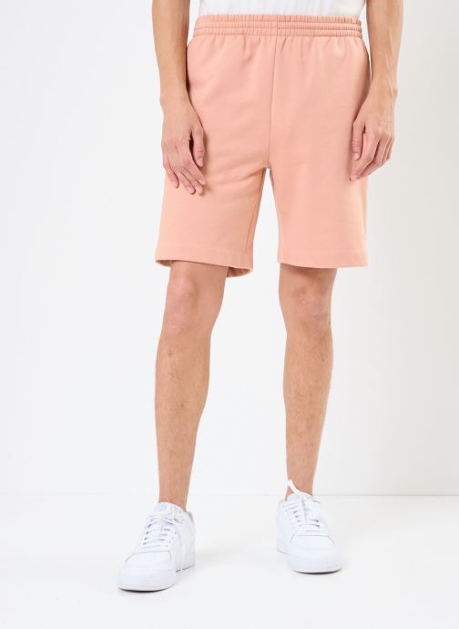 Vêtements Lacoste Short GH9627 pour Accessoires