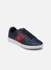 Lacoste Baskets Carnaby Evo Cgr 2224 Sma M pour Homme Male 46 44SMA00032H3