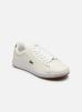 Lacoste Baskets Carnaby Evo 222 3 Sma M pour Homme Male 44 44SMA0002OW9
