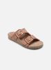 Sandales en suede avec coutures HC.BIO301 par Colors of California 36 female