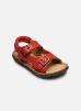 Stones and Bones Sandales et nu-pieds 5379 WHAM pour Enfant Male 24 calf red