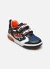 J INEK BOY LIGHTS par Geox 25 male