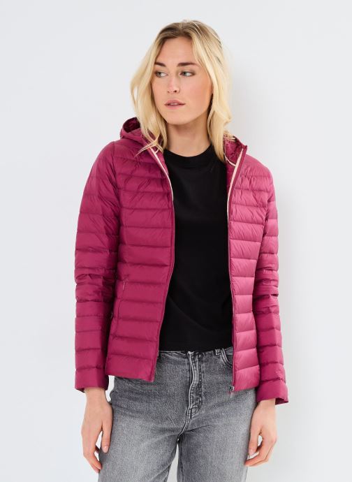 Vêtements Cloe pour Accessoires - JOTT - Modalova