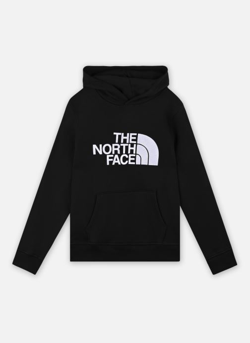 Vêtements The North Face Drew Peak PO Hoodie pour  Accessoires