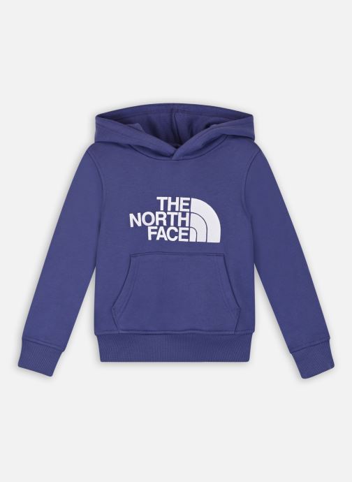 Vêtements The North Face Drew Peak PO Hoodie pour  Accessoires