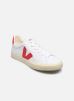 Veja Baskets Campo Canvas M pour Homme Male 40 CA0103150