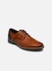 Lloyd Chaussures à lacets LAGOS pour Homme Male 42 13-007-11