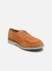 Lloyd Chaussures à lacets LEVI pour Homme Male 40 13-070-23