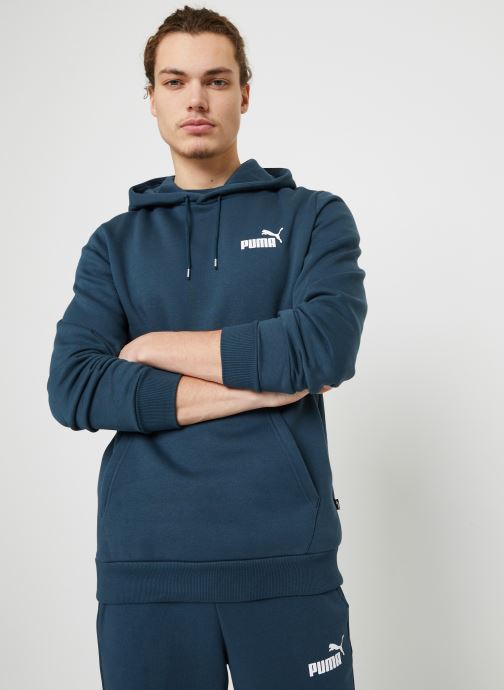 Vêtements Puma Ess Small Logo Hoodie Fl (S) pour Accessoires