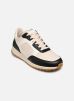 Clae Baskets JOSHUA CACTUS pour Homme Male 40 CL23AJS06-BKW