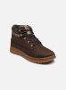 Caterpillar Bottines et boots CITE pour Homme Male 41 931090-60-9