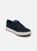 Timberland Baskets Maple Grove Knit Ox pour Homme Male 40 TB0A285N0191