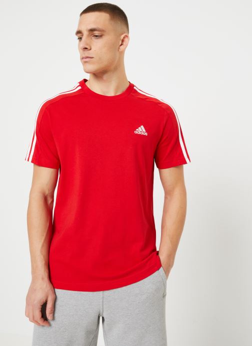 Vêtements adidas sportswear M 3S Sj T pour  Accessoires