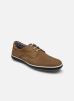 Fluchos Chaussures à lacets Pegaso 9706 NEW pour Homme Male 41 CRETA PLACA VACHETA VISON MARINO