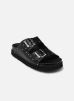 Scholl Mules et sabots BEATRIZ COLLECTION pour Femme Female 39 F306131004