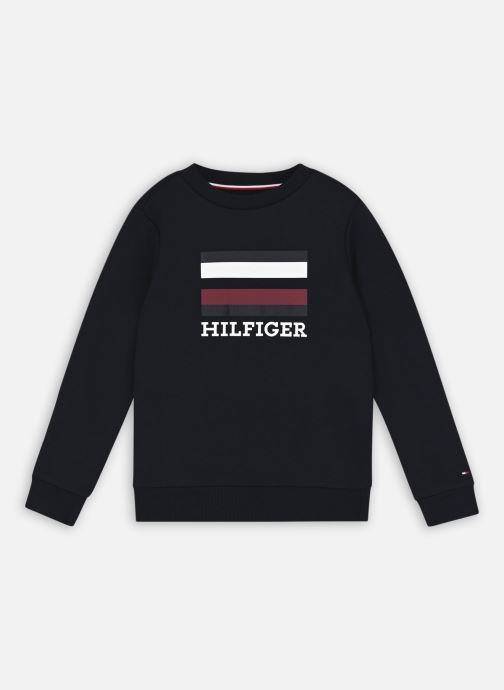 Vêtements Tommy Hilfiger Tommy Hilfiger Logo Sweatshirt pour  Accessoires