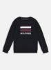 Tommy Hilfiger Vêtements Logo Sweatshirt pour Accessoires Male 6A KB0KB08288DW5