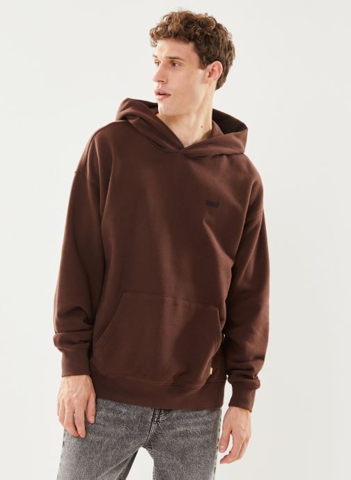 Vêtements Levi's GOLD TAB HOODIE pour  Accessoires