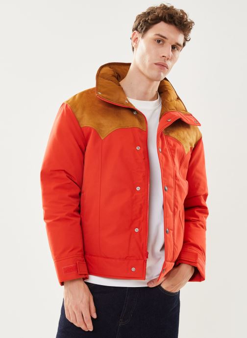 Vêtements Levi's WEBSTER WESTERN PUFFER pour  Accessoires