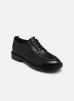 Mjus Chaussures à lacets FABIA T81103 pour Femme Female 36 T81103-101-6002