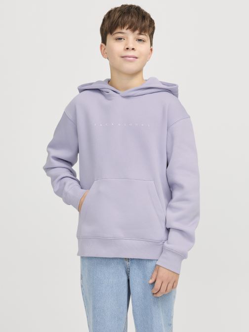 Vêtements Jack & Jones Jjestar Jj Sweat Hood Noos Jnr pour Accessoires