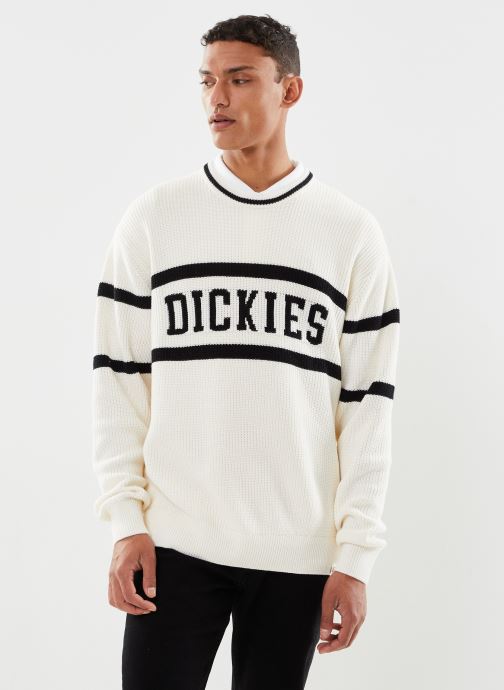 Vêtements Dickies Melvern Sweater pour  Accessoires