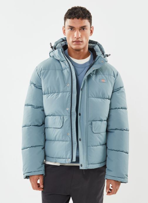 Vêtements Dickies Glacier View Puffer pour  Accessoires