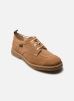 Kickers Chaussures à lacets KICK LEVY pour Homme Male 40 947321-60-114