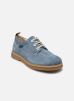 Kickers Chaussures à lacets KICK LEVY pour Homme Male 41 947321-60-5