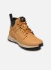 Timberland Bottines et boots Killington Trkr Chka pour Homme Male 40 TB0A2HNR2311