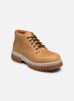 Timberland Bottines et boots Arbor Road WP Chukka pour Homme Male 40 TB0A5YJ52311