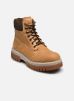 Timberland Bottines et boots Arbor Road WP Boot pour Homme Male 40 TB0A5YKD2311