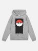 Name it Vêtements Nkmjalte Pokemon Sweat Wh Bru Noos Bfu pour Accessoires Male 13 - 14A 13219317-Grey Melange