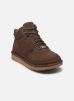 UGG Baskets M HIGHLAND HI HERITAGE pour Homme Male 39 1144054-BTCD