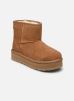 UGG Bottines et boots KIDS' CLASSIC MINI PLATFORM pour Enfant Female 36 1143700K-CHE