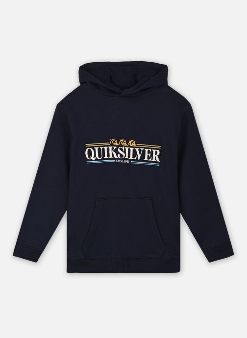 Vêtements Quiksilver Graphichoodie pour  Accessoires