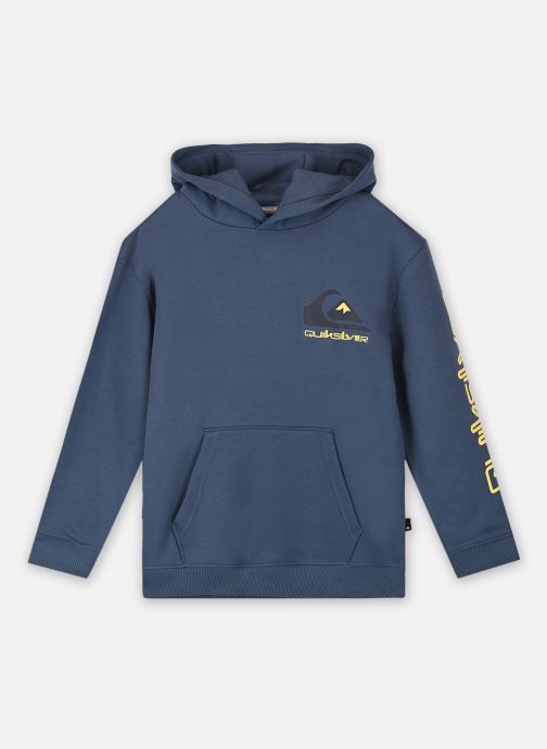 Vêtements Quiksilver Omni Logo Hood Young pour  Accessoires